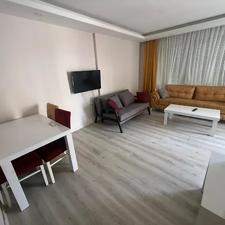 Taner Berk 4 *
